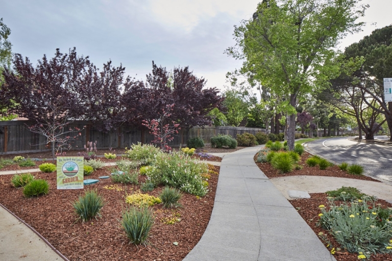 drought tolerant landscape design